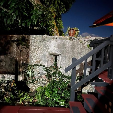 Apartmán Mid-Century: Caribbean Style Contant  Exteriér fotografie