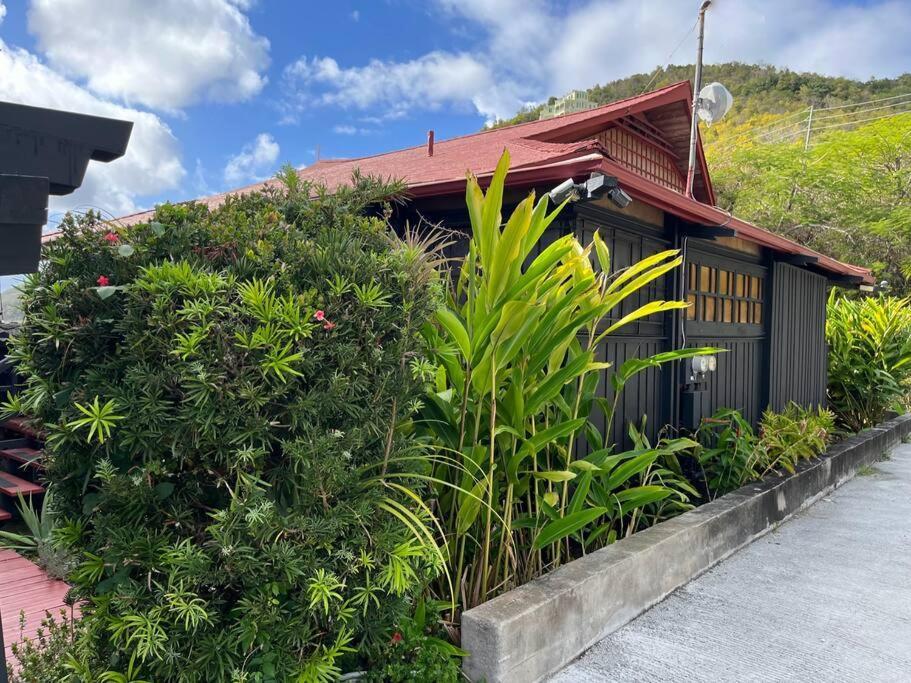 Apartmán Mid-Century: Caribbean Style Contant  Exteriér fotografie